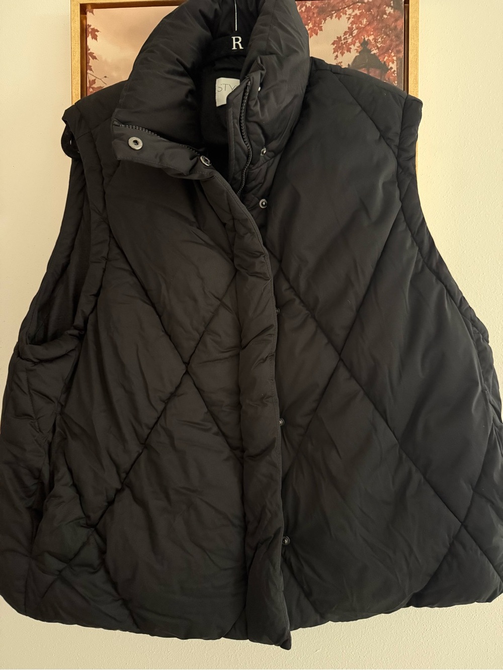 Stylus Black Quilted Puffer Vest - Women